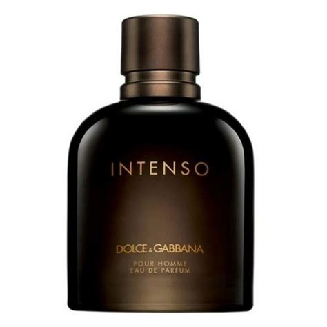 dolce gabbana intenso review|intenso cologne for men.